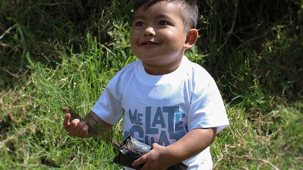 En ett-pojke med ett träd som ska planteras i Guatemala.
