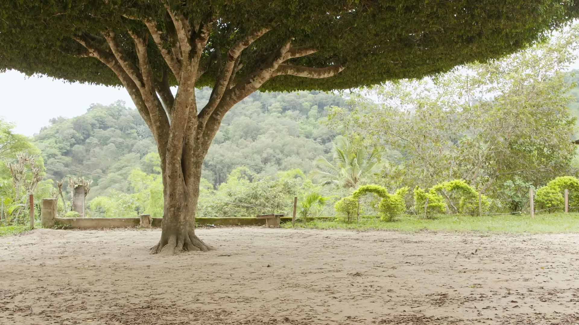 Trailer: Drömmarnas land